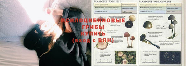 синтетический гашиш Дмитровск