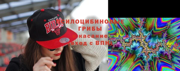 первитин Дмитров