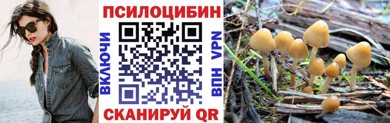 Купить закладки  Всеволожск  Псилоцибиновые грибы ЛСД 